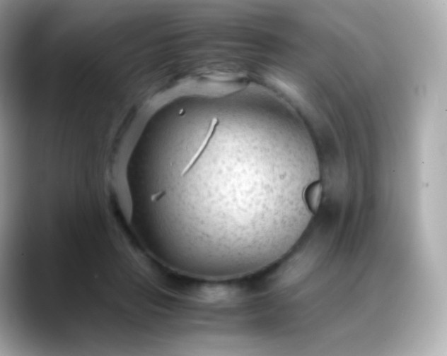 X0000088460453200706051327