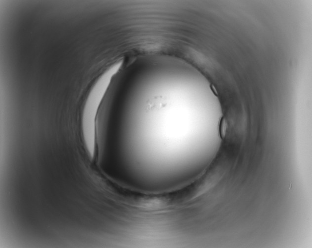 X0000088460454200706051327