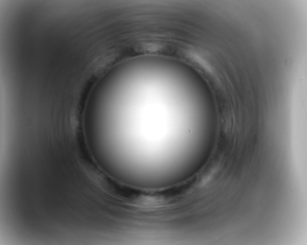 X0000088460455200706051327