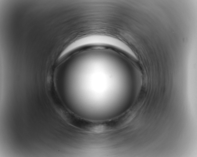 X0000088460456200706051327