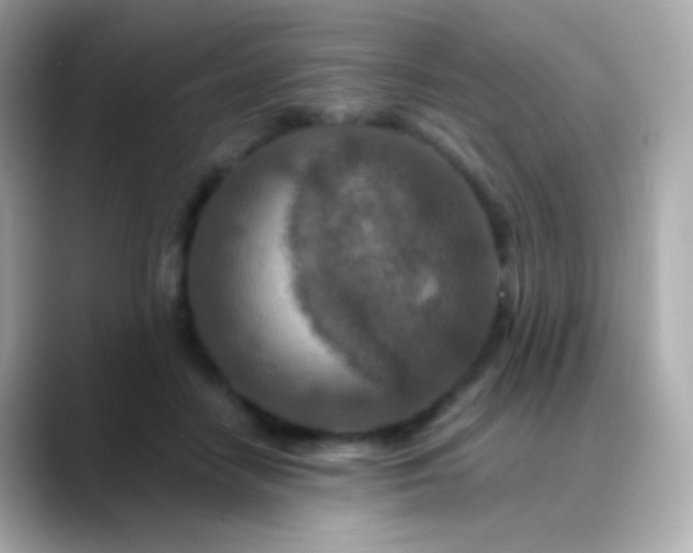 X0000088460458200706051327