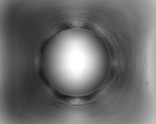 X0000088460460200706051327