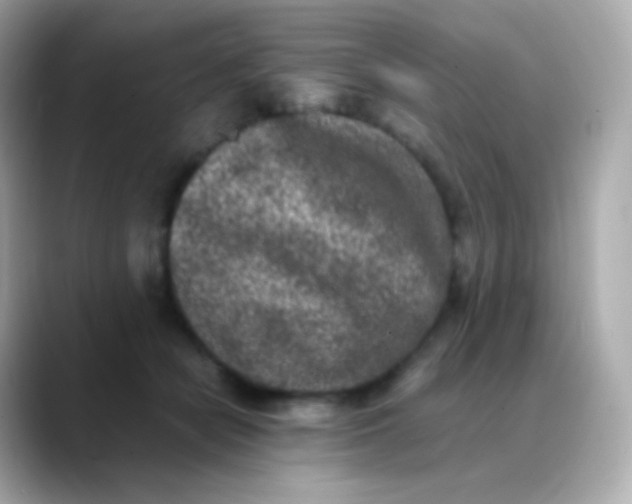 X0000088460462200706051327