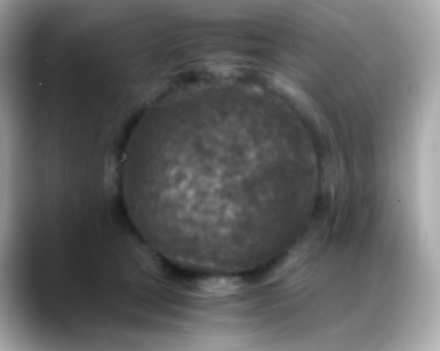 X0000088460465200706051327