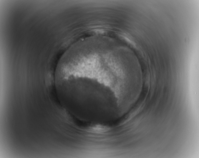 X0000088460467200706051327