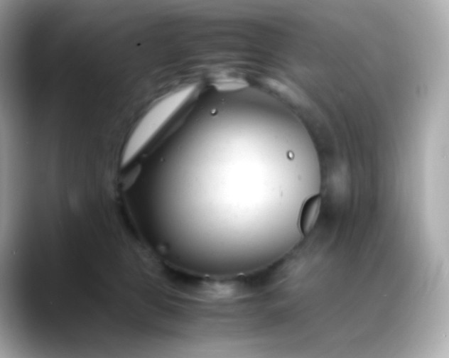 X0000088460469200706051327