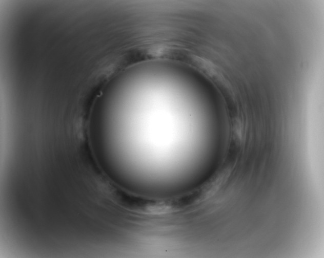 X0000088460470200706051327