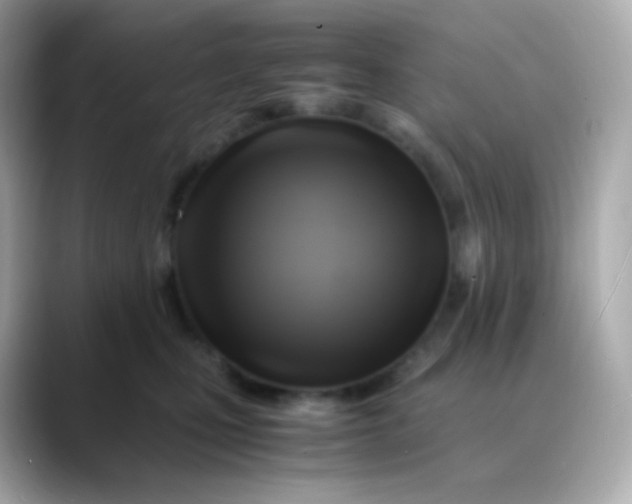 X0000088460471200706051327