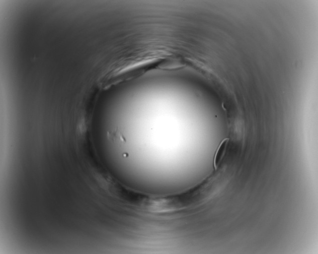 X0000088460472200706051327