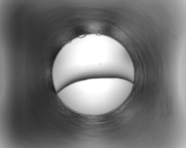 X0000088460473200706051327