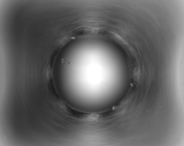 X0000088460474200706051327