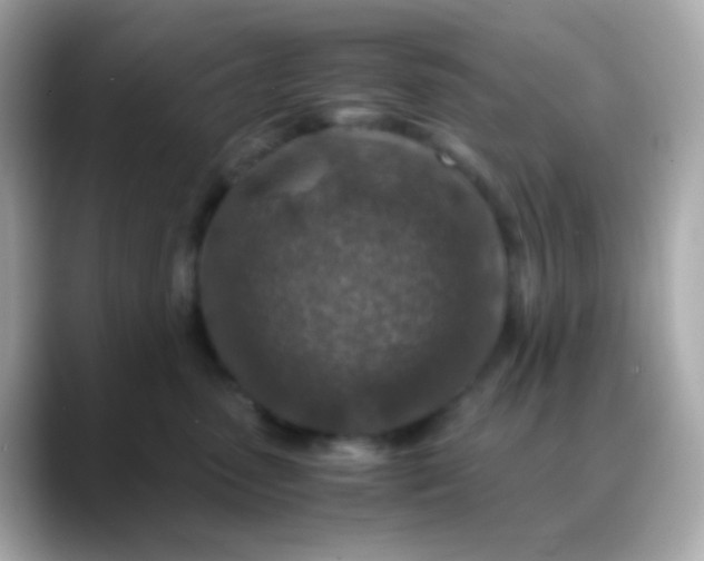 X0000088460475200706051327