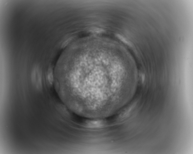 X0000088460479200706051327