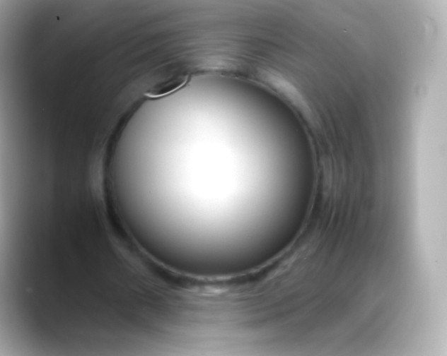 X0000088460482200706051327