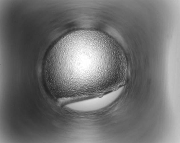 X0000088460483200706051327