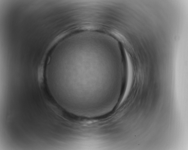 X0000088460484200706051327