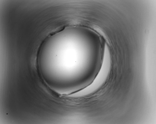 X0000088460485200706051327