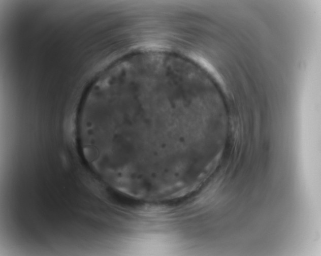 X0000088460487200706051327