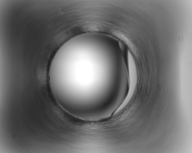 X0000088460489200706051327