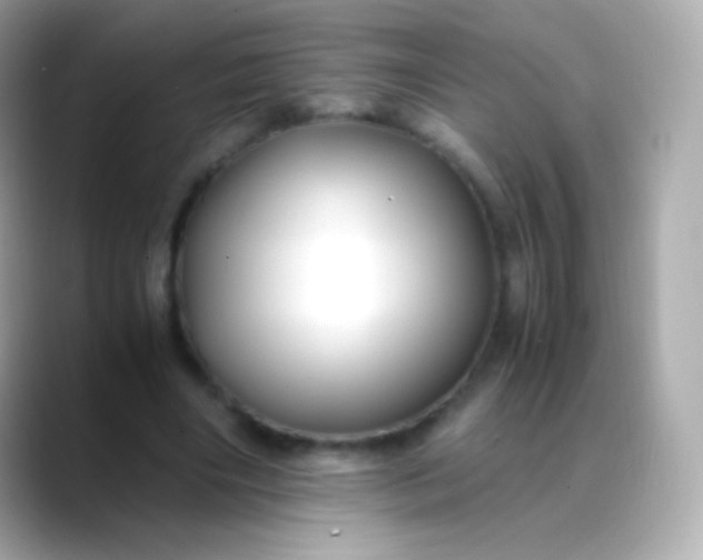 X0000088460490200706051327