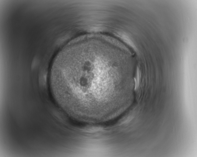 X0000088460491200706051327