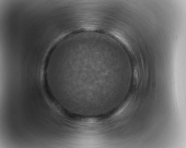 X0000088460492200706051327