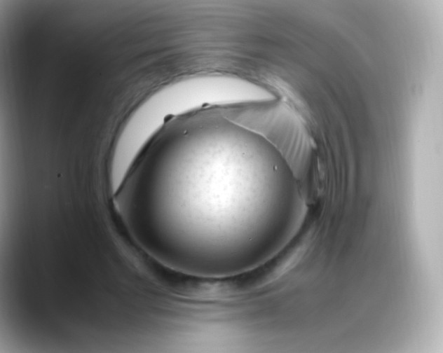 X0000088460493200706051327