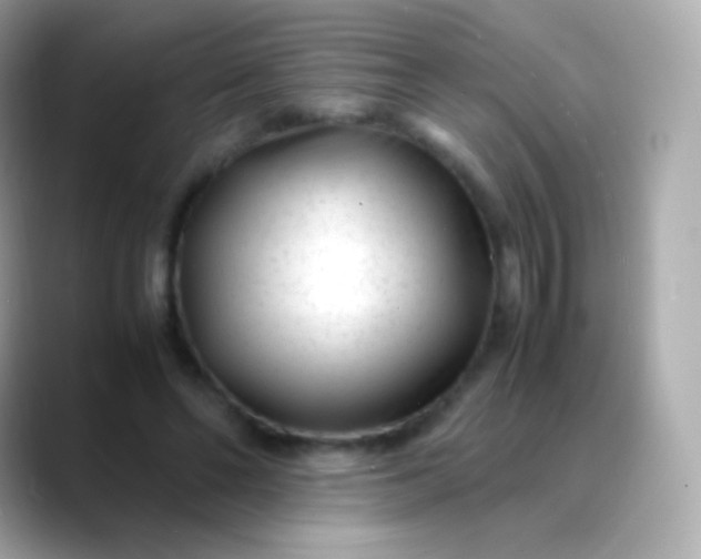 X0000088460494200706051327