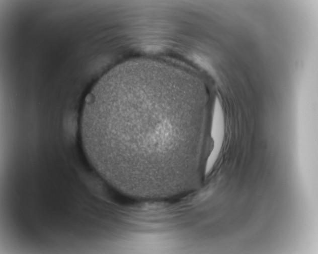 X0000088460495200706051327