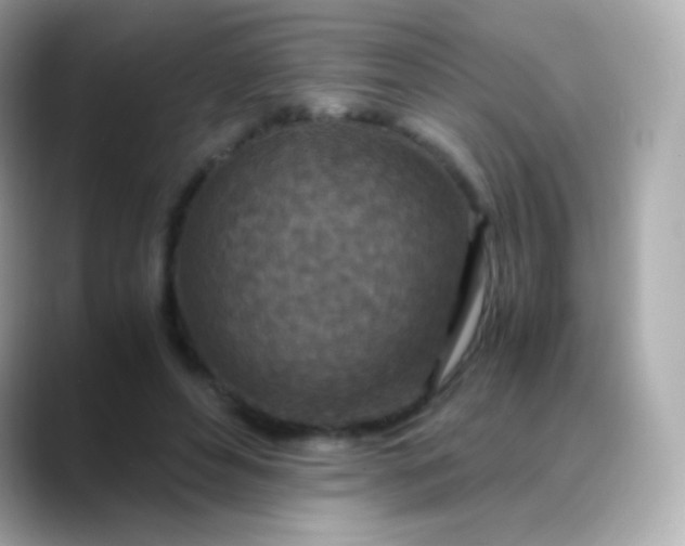 X0000088460496200706051327