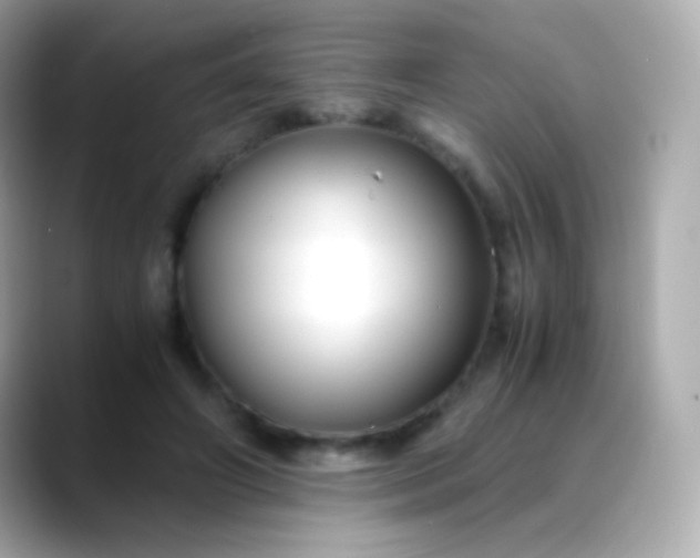 X0000088460498200706051327