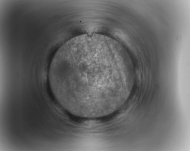 X0000088460499200706051327