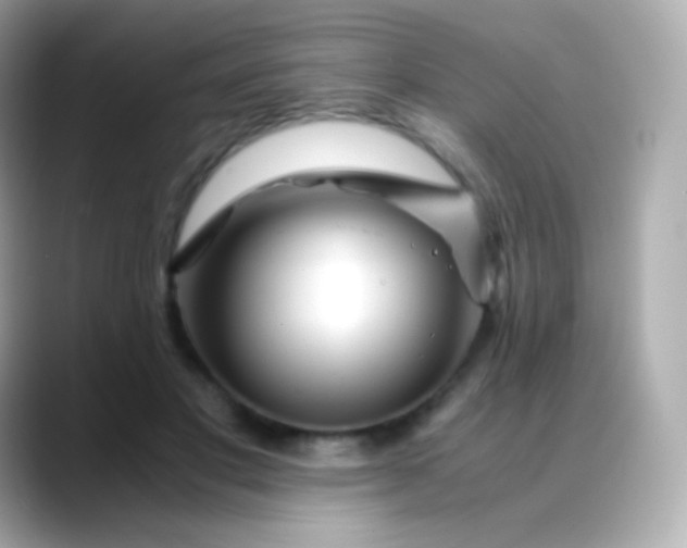 X0000088460501200706051327