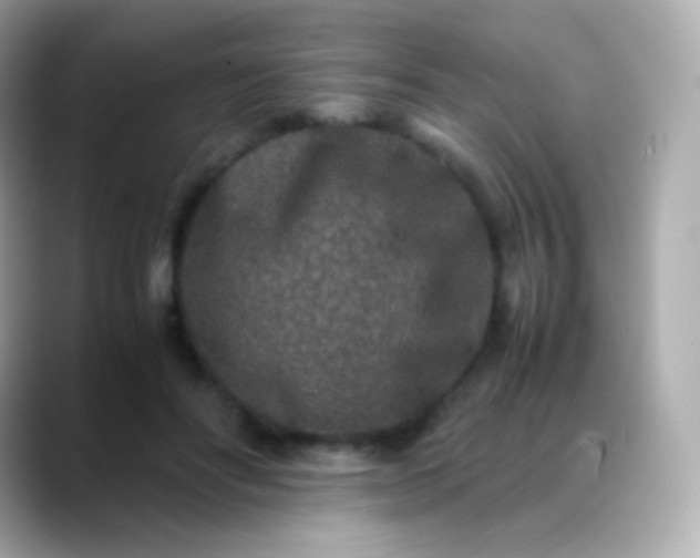 X0000088460502200706051327