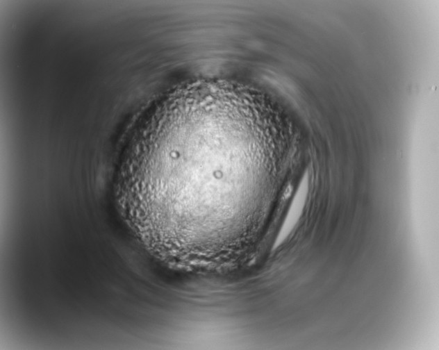 X0000088460503200706051327