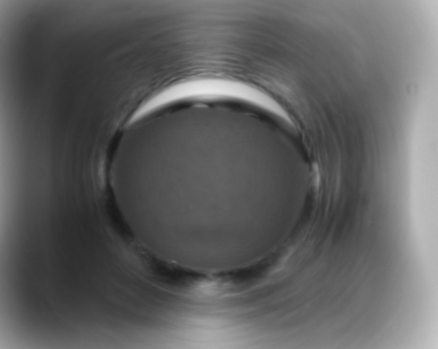 X0000088460504200706051327