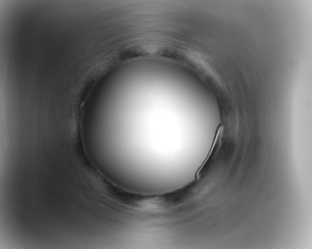 X0000088460505200706051327