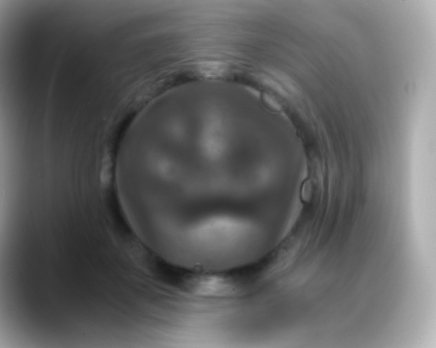 X0000088460507200706051327