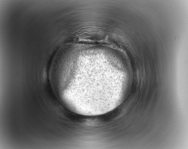 X0000088460508200706051327