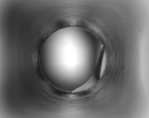 X0000088460509200706051327