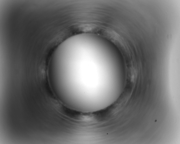 X0000088460510200706051326