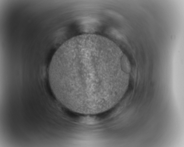 X0000088460511200706051326