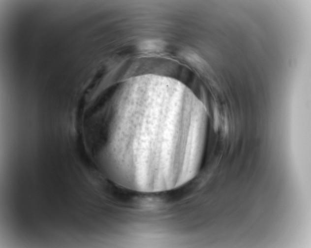 X0000088460512200706051326