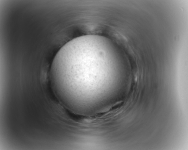 X0000088460515200706051326