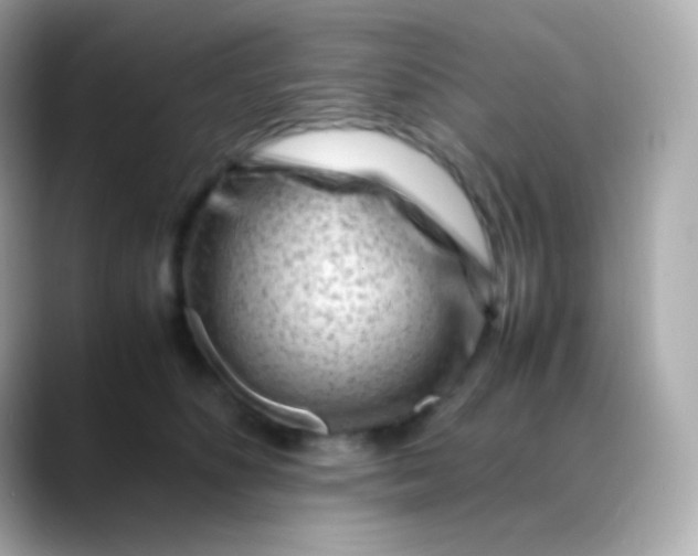 X0000088460516200706051326