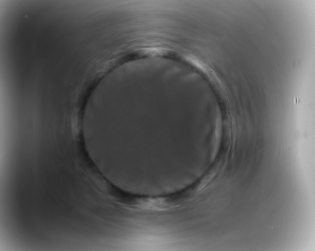 X0000088460517200706051326