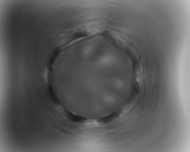 X0000088460519200706051326