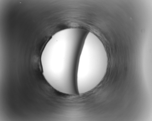 X0000088460521200706051326