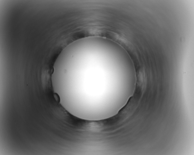 X0000088460522200706051326