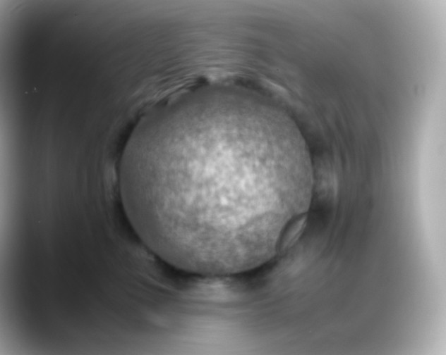 X0000088460523200706051326